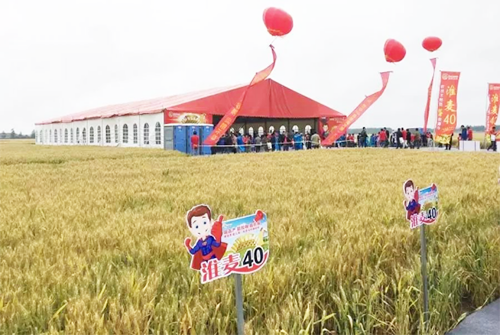 1533178092949711.png 2.png