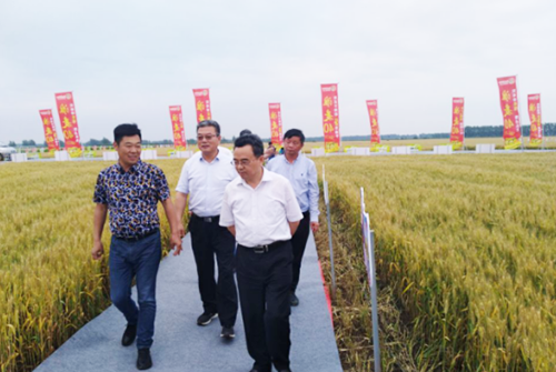 1533178276856590.png 16.png