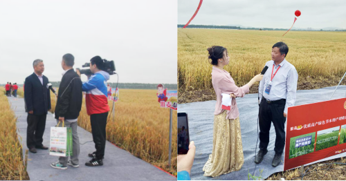 1533178316446669.png 18.png