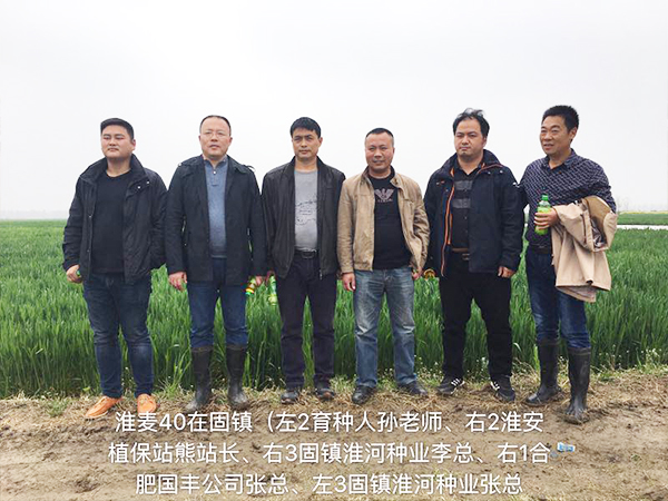 1533190995112231.jpg 2.jpg