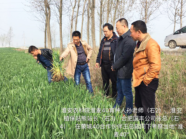 1533191002276048.jpg 3.jpg